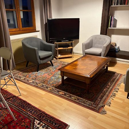 Appartement Authentique Centre Historique كولمار المظهر الخارجي الصورة