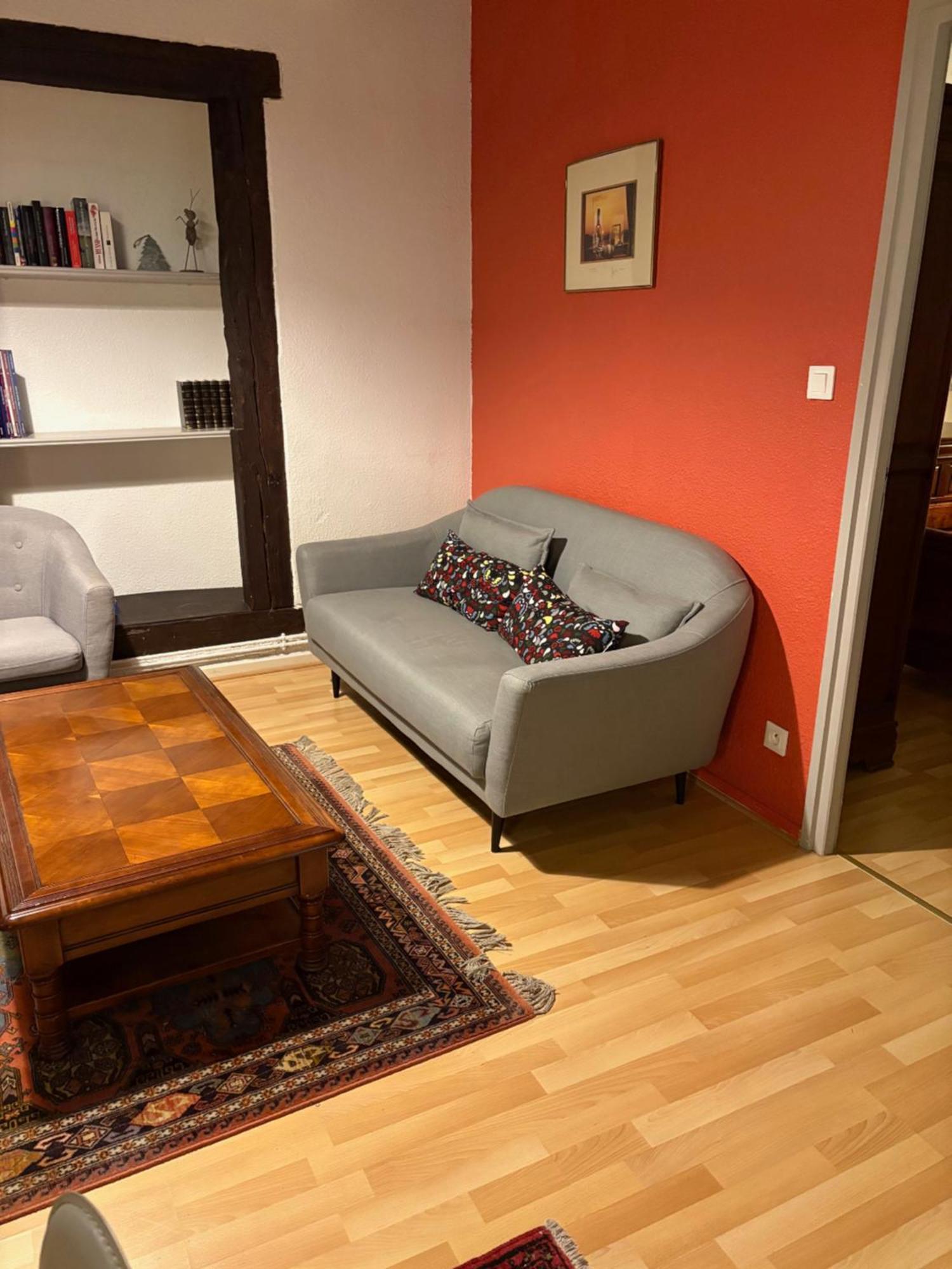 Appartement Authentique Centre Historique كولمار المظهر الخارجي الصورة